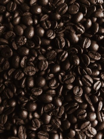 Robusta(100g)